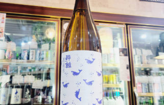 酔鯨 夏純米酒,高知県 ,酔鯨酒造,ウイスキー,させ酒店,佐瀬酒店,千葉県千葉市稲毛区,地酒,酒屋,販売,専門店,通販,日曜営業,祝日営業