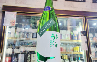 庭のうぐいす 特別純米酒 しぼりたて生酒,福岡県　,山口酒造場,日本酒,させ酒店,佐瀬酒店,千葉県千葉市稲毛区,地酒,酒屋,販売,専門店,通販,日曜営業,祝日営業