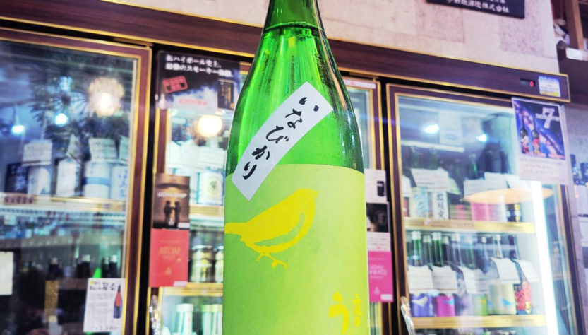 庭のうぐいす いなびかり 純米吟醸酒,福岡県,山口酒造場,日本酒,させ酒店,佐瀬酒店,千葉県千葉市稲毛区,地酒,酒屋,販売,専門店,通販,日曜営業,祝日営業