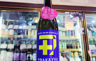 若戎プラス００7純米吟醸 生酒, 三重県,若戎酒造,日本酒,させ酒店,佐瀬酒店,千葉県千葉市稲毛区,地酒,酒屋,販売,専門店,通販,日曜営業,祝日営業